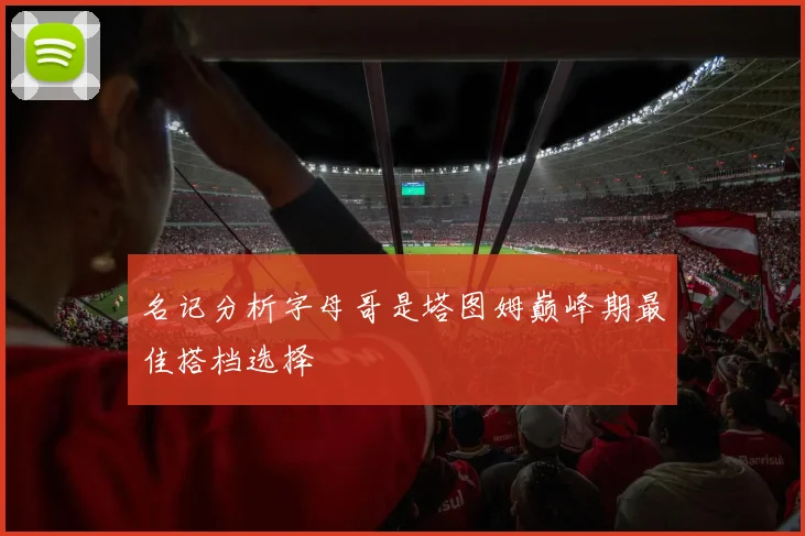 名记分析字母哥是塔图姆巅峰期最佳搭档选择
